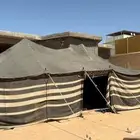 فليزر عمودي بيت شعر مروش دباب