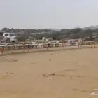 نحل للبيع 70 افرنجي 180 محايلي