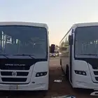 باص و كوستر و نقليات و آليات ثقيلة