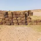 تبن بر علف