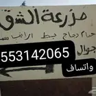 بيع دجاج حمام بط ارنب