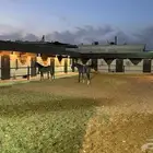 إيواء خيول ديراب
