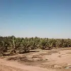 مزرعة للبيع غرب جبل الحويض