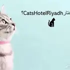 فندقة قطط بالرياض CatsHotelRiyadh