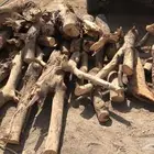 شاص للبيع النوع س م ر للتواصل واتساب