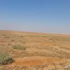 ارض زراعيه في الحماده بين شقراء و المجمعه المساحه 447 ألف