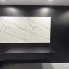 الفنادق والشقق المفروشة