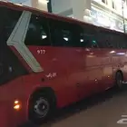 باصات للإيجار داخل المدينه