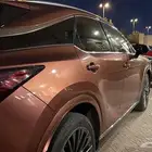 الرياض الربوة