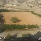 مزرعه للبيع رجال المع رقعاء