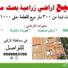 للبيع