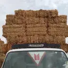 تبن بر صافي