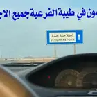 مخطط طيبة الفرعية جدة مكتب عقار نشتري الأرضي جدة