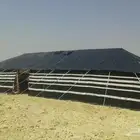 جميع انحاء المملكه