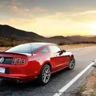 مطلوب موستنق للبيع