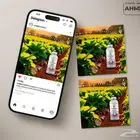 مصمم جرافيك لجميع انواع التصميمات واعلانات التواصل الاجتماعي