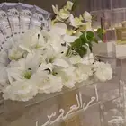 ستاندات ملكه شفافه متعددة الاستخدام المطلوب (700)