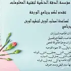مطور برمجيات
