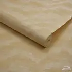 ورق حائط أمريكي