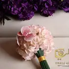 مصورة حفلات