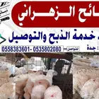 للبيع ذبايح حريات