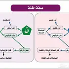 معلم تأسيس وقرآن ونور البيان وتجويد للأطفال وكبار السن