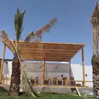 حديقه خيزران رولات الخيزران خيزران الجمله