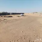 اسطبل للبيع