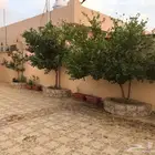 استراحه للبيع