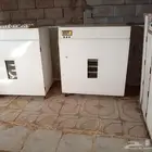 فقاسات بيض للييع