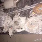 قطع كابرس