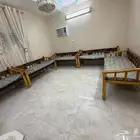 خمس كراسي مع فرش جديده تفصيل نفر