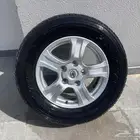 جنوط اسكويا