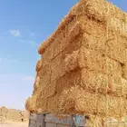 بيع الاعلاف البرسيم والتبن والذره والروتس