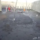 المبرز