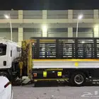 دينا ايسوزو موديل 2024