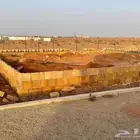 الرياض