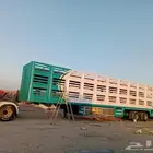 الرياض السلي