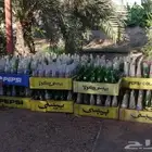 بيبسي قارورة زجاج صناديق بحائل