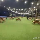 تاجير طاولات