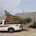 السلام عليكم ورحمه الله وبركاته عندنا ناخذ طيب متواجد في مكه