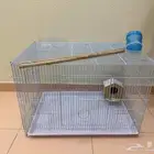 قفص عصافير الحب