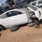 تشليح جنسس