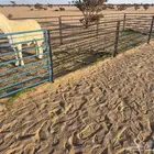 طلي جذع مشروط فاخر