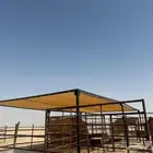 مضلات ابل وحلال وشبوك
