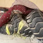 كفرات شيول