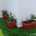 تنسيق حدائق الاشجار والورود والنخيل تركيب العشب الطبيعي