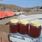 عسل سدر بلدي