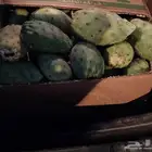 برشومي الشفا مع توصيل مجاني لمكه