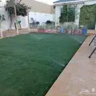 ثيل طبيعي سي2000 درجه اولي ممتاز. ثيل سي الفين